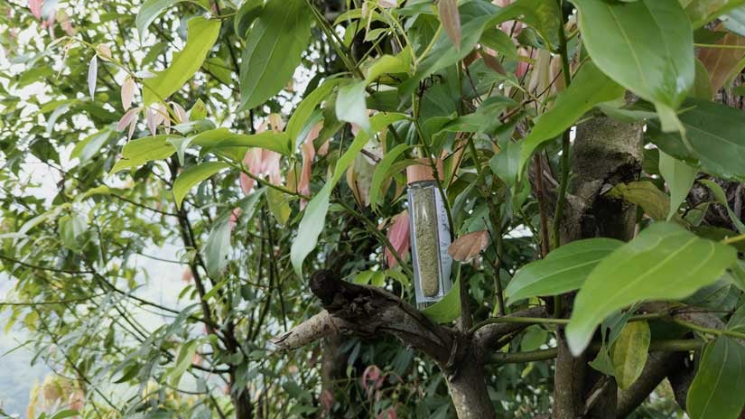 Gewürze-ohnne-Zusatzstoffe-1