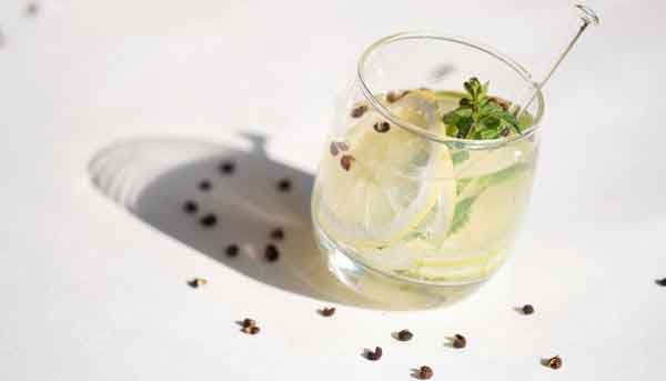 Himalaya-Gin-2b