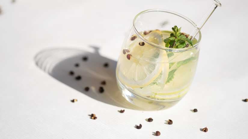 Himalaya-Gin-2-1