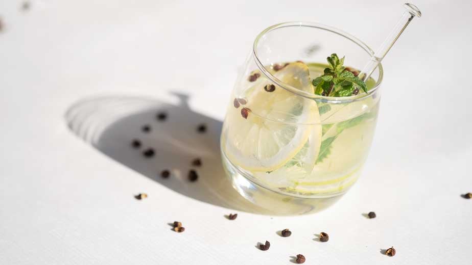 Himalaya-Gin-2