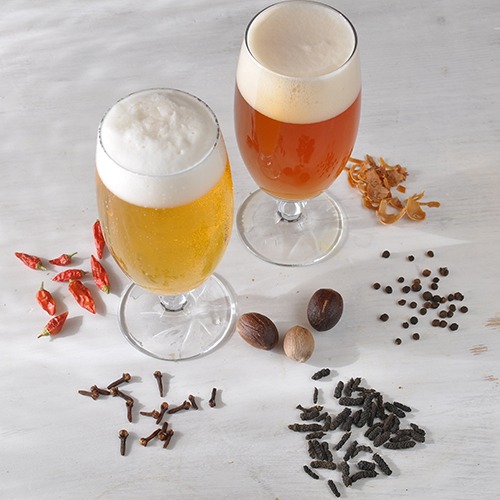 Gewuerze zur Verarbeitung wie in selbstgebrautem Bier Gewuerze zur Verarbeitung wie in selbstgebrautem Bier