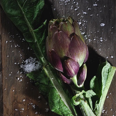 Wuerzen mit Fleur de Sel von roots. mit Artischocke