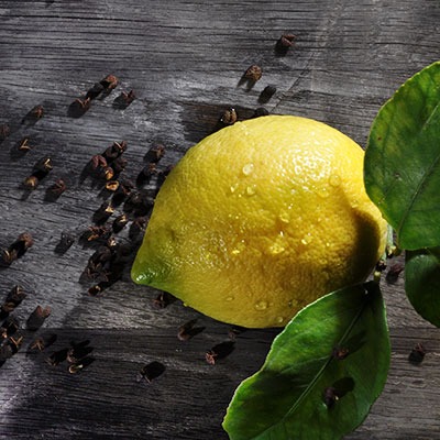 Zitrone passend zu wuerzen mit Himalaya-Pfeffer von roots-natural