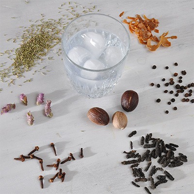 Rezeptidee Gin zu wuerzen mit Gewürznelke von roots-natural