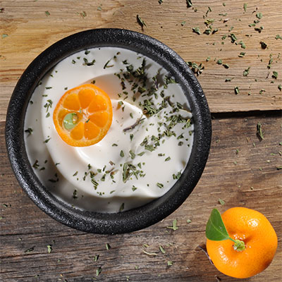 Pfefferminze von roots. natural im Joghurt Rezeptideen für wuerzen mit Pfefferminze von roots-natural