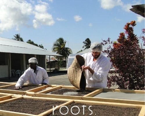 Wie schmecken nachhaltige Gewuerze wie Pfeffer von roots