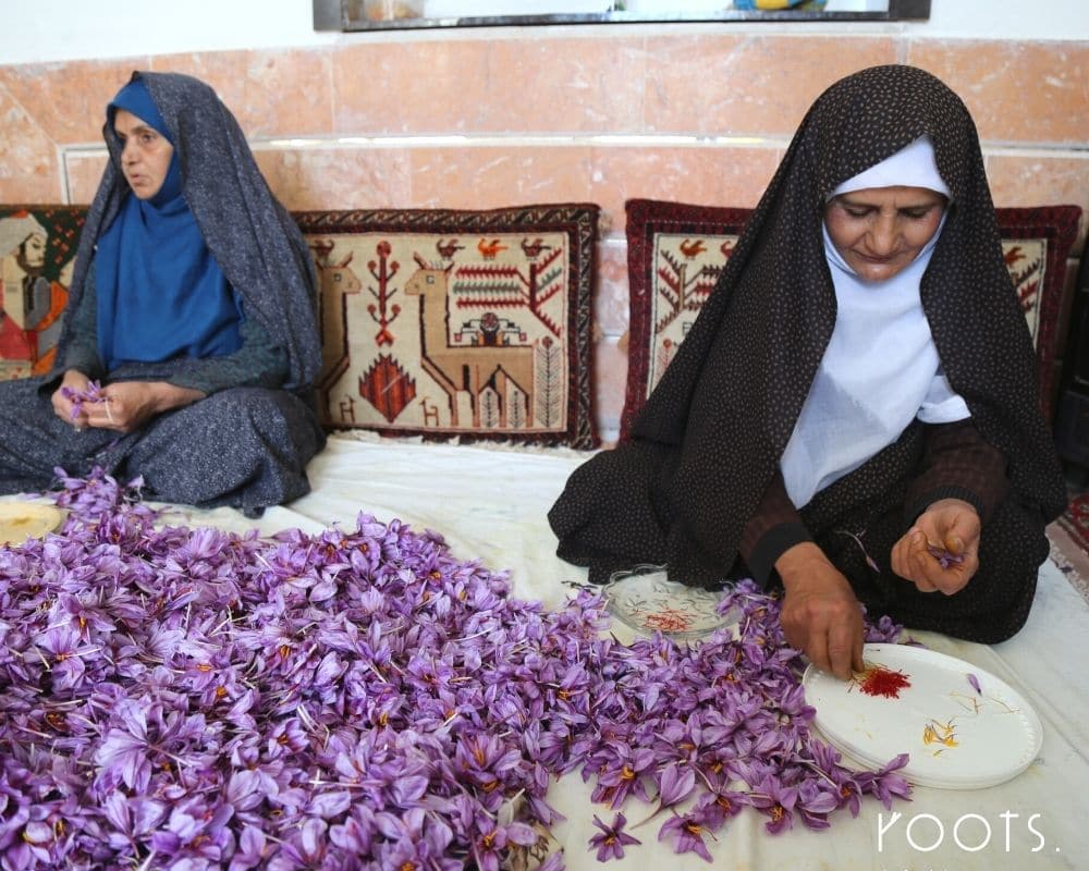 Orientalische Gewuerze wie Safran bei der Sortierung