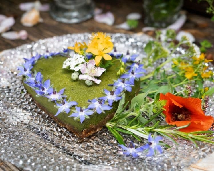Wuerzige heimische Wildkraeuter Tarte Wuerzige heimische Wildkraeuter Tarte