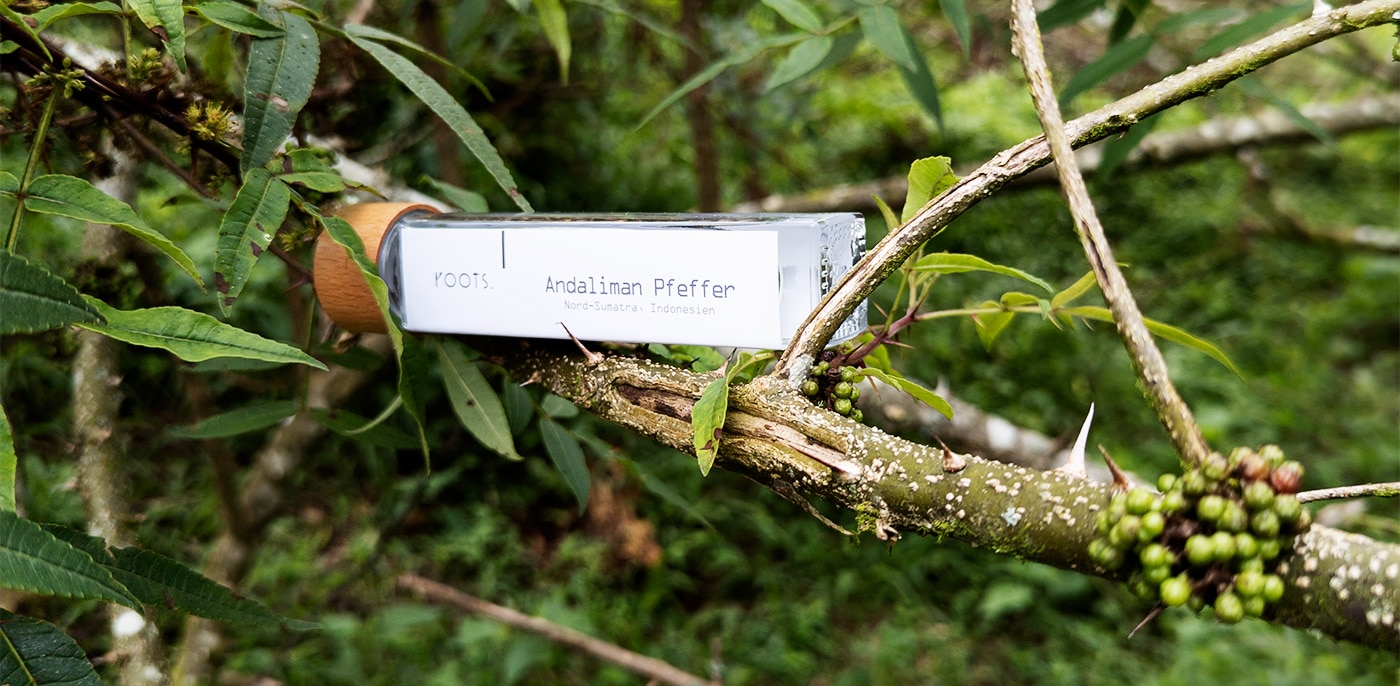 Andaliman-Pfeffer-mit-roots.-Flasche–Natur-1400×686 Andaliman-Pfeffer von roots. in der Natur