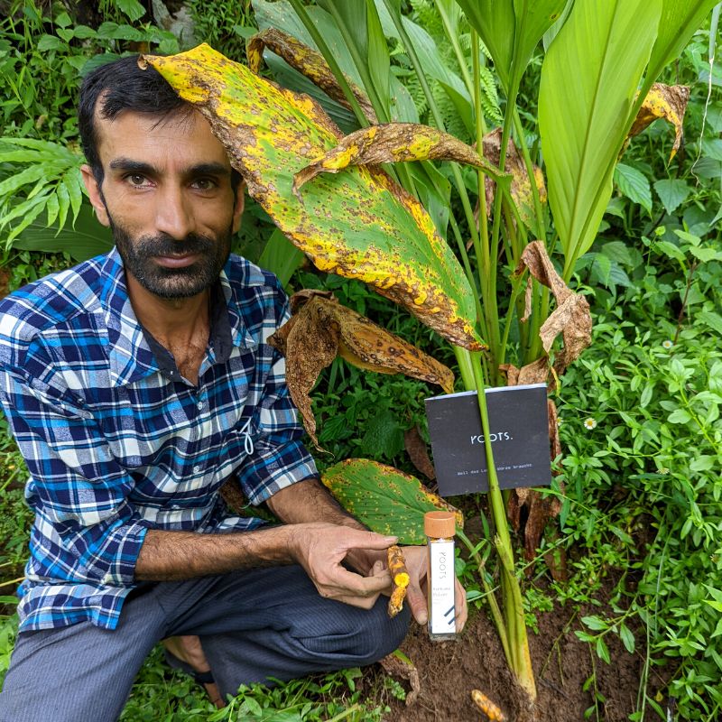 Farmer aus Nepal vor einer Kurkumapflanze